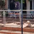 Garde corps de terrasse à 5 barres en inox en kit à la française 37
