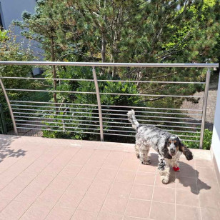 Garde corps de terrasse à 10 barres en inox Design Pont de Bateau à l'anglaise